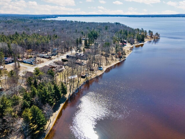 birds eye view of property featuring a water view and a view of trees