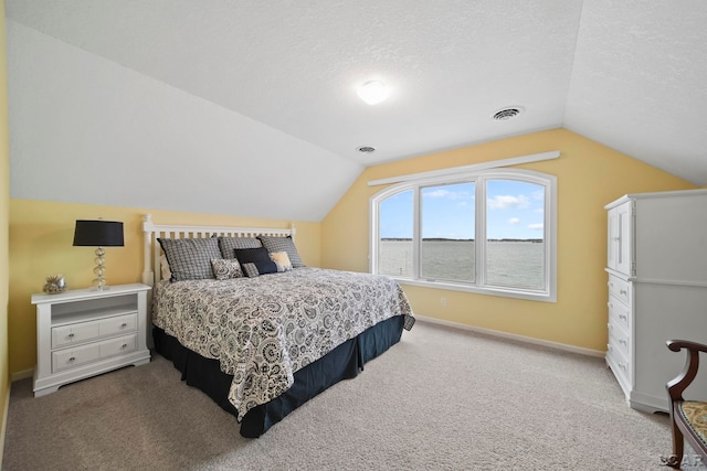 3387 Round Lake Hwy, Manitou Beach, MI 49253 - carpeted bedroom featuring lofted ceiling and a textured ceiling