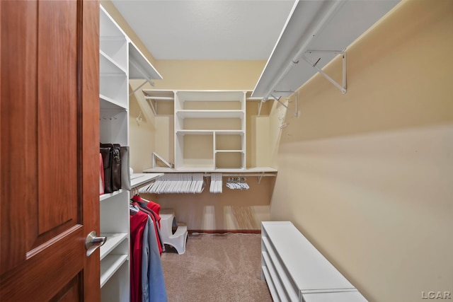 3387 Round Lake Hwy, Manitou Beach, MI 49253 - walk in closet with carpet flooring