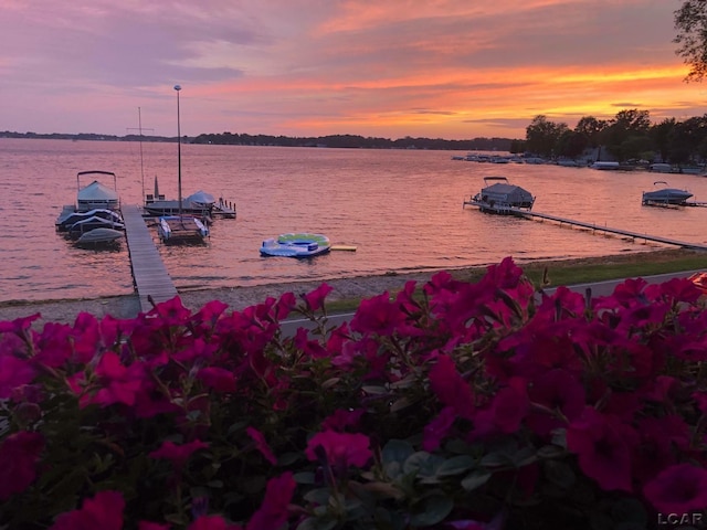 3387 Round Lake Hwy, Manitou Beach, MI 49253 - water view featuring a boat dock
