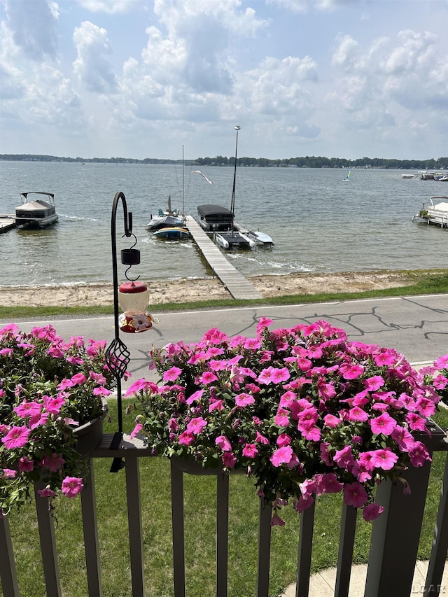 3387 Round Lake Hwy, Manitou Beach, MI 49253 - water view with a dock