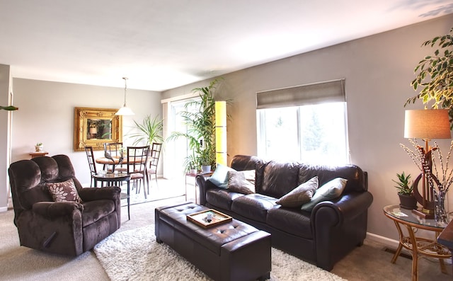 27036 Sandy Hill Ln, New Hudson, MI 48165 - photo 20