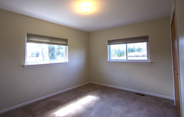 27036 Sandy Hill Ln, New Hudson, MI 48165 - photo 23