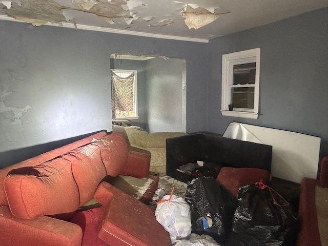 10880 Nottingham Rd, Detroit, MI 48224 - living room with crown molding