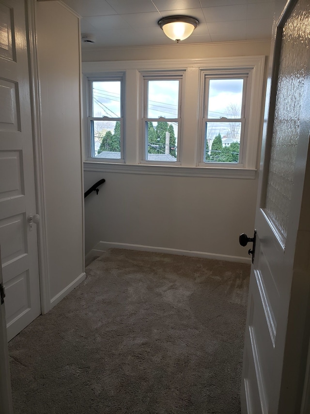 carpeted empty room featuring baseboards