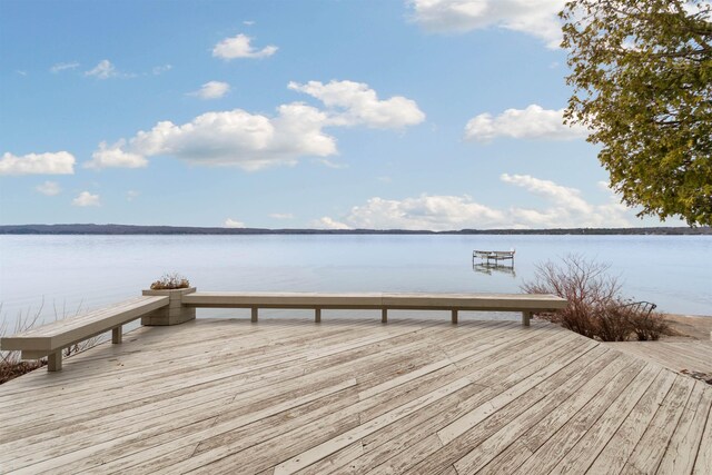 1137 Crystal Dr, Frankfort, MI 49635