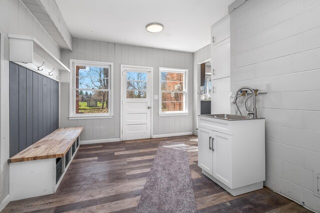 mudroom featuring plenty of natural light, baseboards, a sink, and dark wood-style flooring