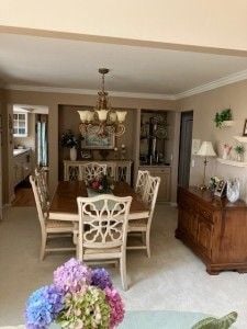 dining room with ornamental molding, an inviting chandelier, and carpet flooring