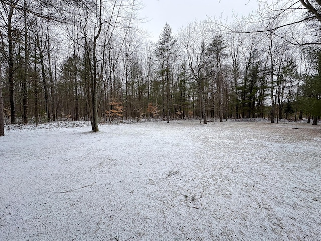 view of yard covered in snow