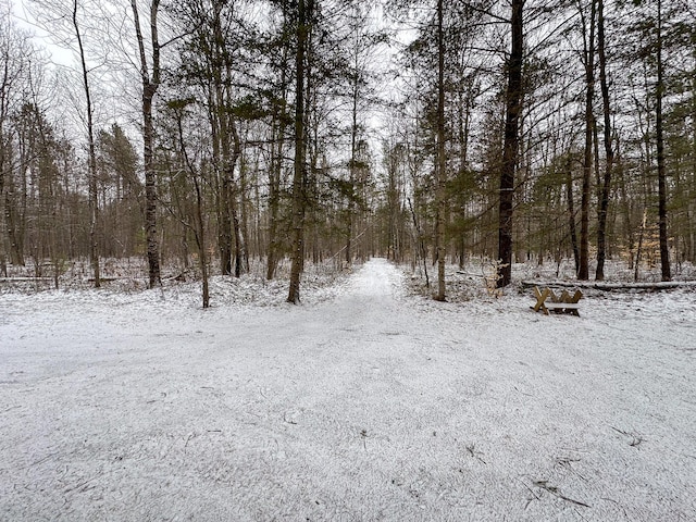 view of snow covered land