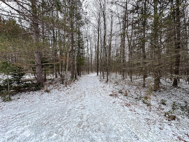 view of snow covered land