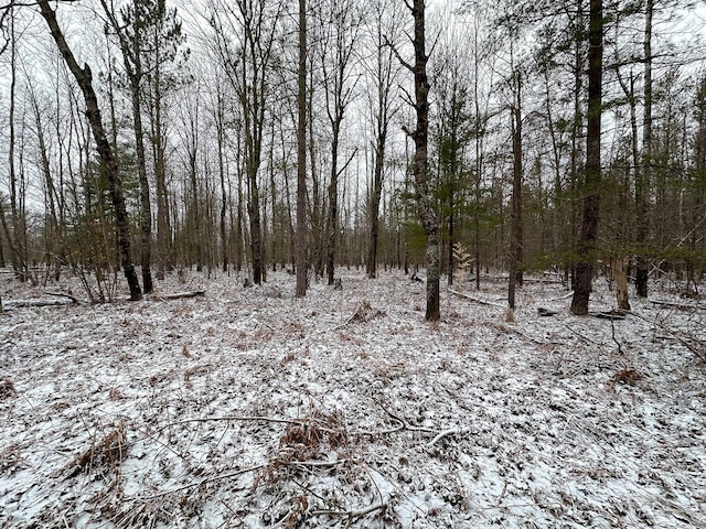 view of local wilderness with a forest view