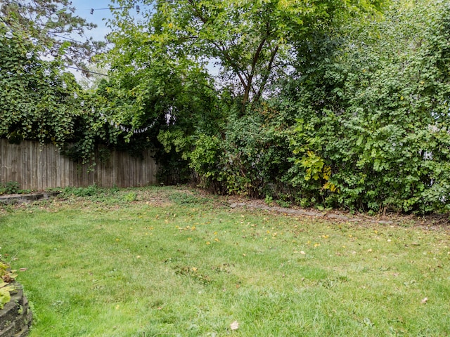 4423 Groveland Ave, Royal Oak, MI 48073 - view of yard with fence