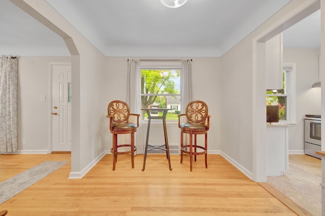 4423 Groveland Ave, Royal Oak, MI 48073 - sitting room with light wood-style flooring, arched walkways, and baseboards