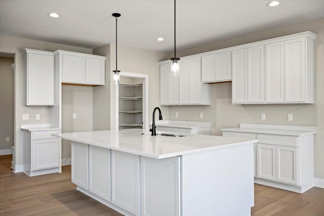 24599 Brookshire Dr, Macomb, MI 48042 - kitchen with light wood-style floors, a sink, and white cabinets