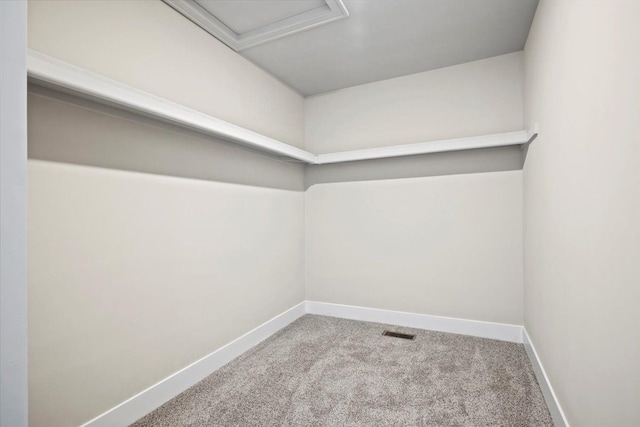 24599 Brookshire Dr, Macomb, MI 48042 - spacious closet with carpet floors and visible vents
