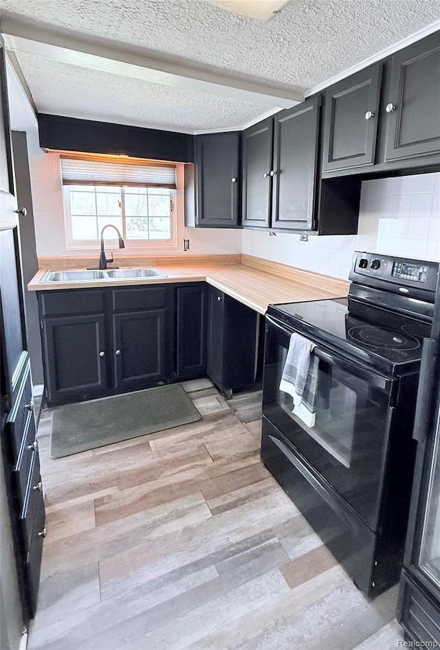 4725 Hickory Dr, Highland, MI 48356 - kitchen with black range with electric cooktop, light wood-type flooring, light countertops, dark cabinetry, and decorative backsplash