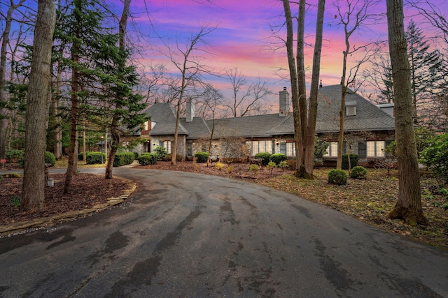 6242 131st St, Saugatuck, MI 49453 - view of front of property featuring stone siding, a chimney, and curved driveway