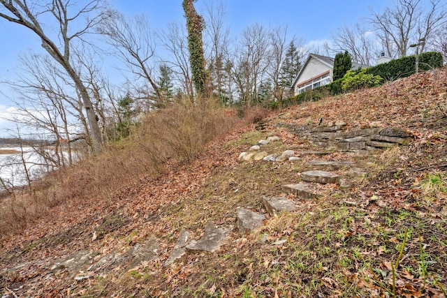 6242 131st St, Saugatuck, MI 49453 - view of yard