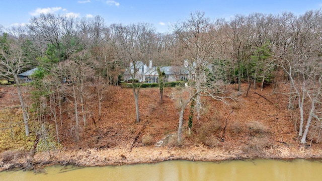 6242 131st St, Saugatuck, MI 49453 - aerial view with a water view