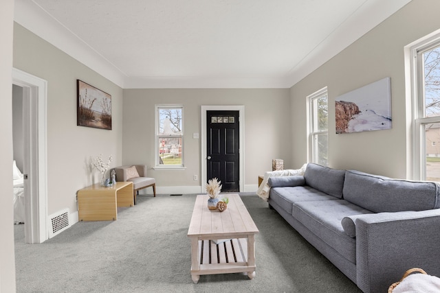 living area with carpet, baseboards, and visible vents