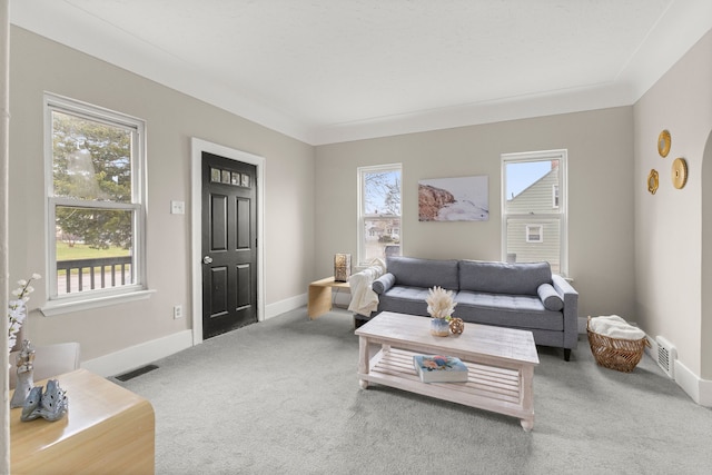living area with baseboards, carpet flooring, and visible vents