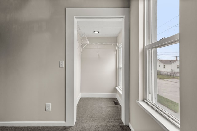 walk in closet featuring visible vents and carpet