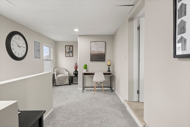 carpeted office with baseboards and a drop ceiling