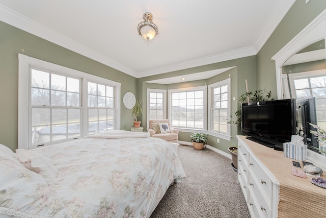 5050 Pleasant Lake Rd, Ann Arbor, MI 48103 - carpeted bedroom featuring ornamental molding