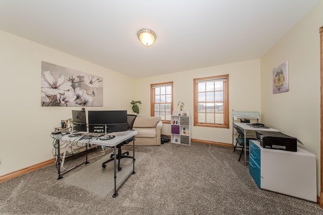 5050 Pleasant Lake Rd, Ann Arbor, MI 48103 - carpeted office space featuring baseboards