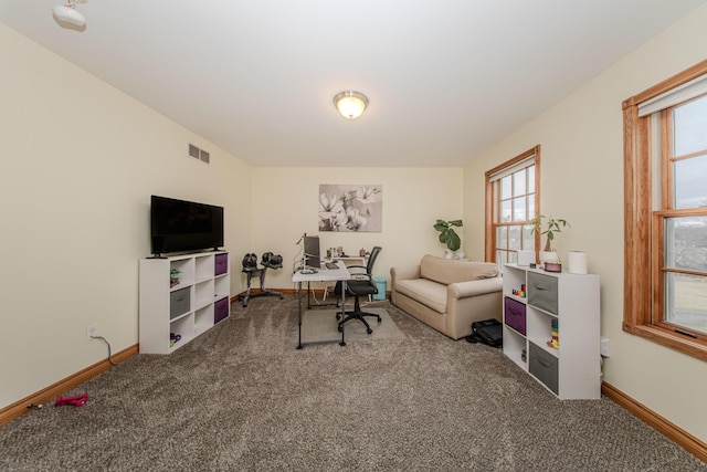 5050 Pleasant Lake Rd, Ann Arbor, MI 48103 - office area with carpet flooring