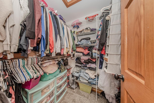 5050 Pleasant Lake Rd, Ann Arbor, MI 48103 - walk in closet featuring carpet floors