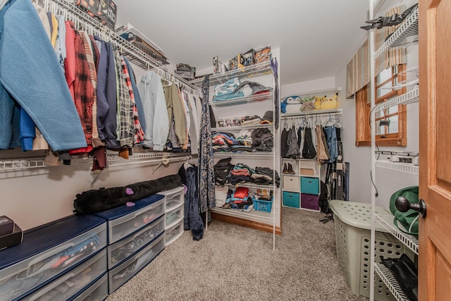 5050 Pleasant Lake Rd, Ann Arbor, MI 48103 - spacious closet with carpet floors