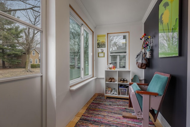 living area with ornamental molding