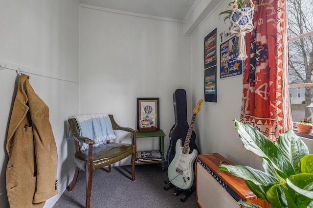 sitting room with crown molding and carpet