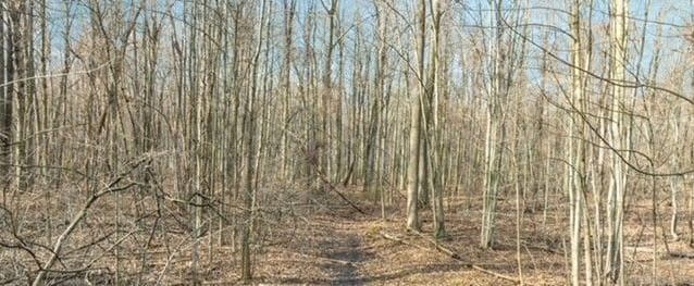 00 Maple St, Pearl Beach, MI 48001