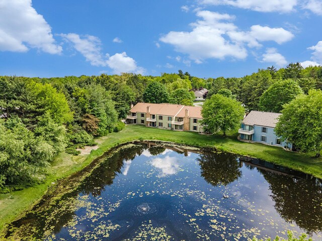 17650 Woodbridge Rd # 1, Spring Lake, MI 49456 - aerial view of property and surrounding area with a large body of water and a forest