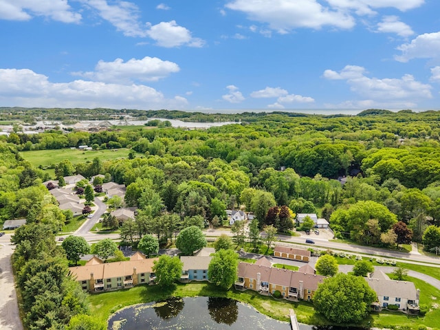 17650 Woodbridge Rd # 1, Spring Lake, MI 49456 - aerial perspective of suburban area with a nearby body of water and a heavily wooded area
