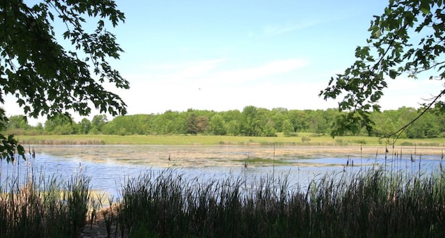 property view of water