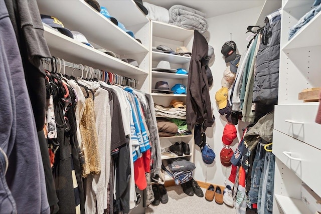 spacious closet featuring carpet floors