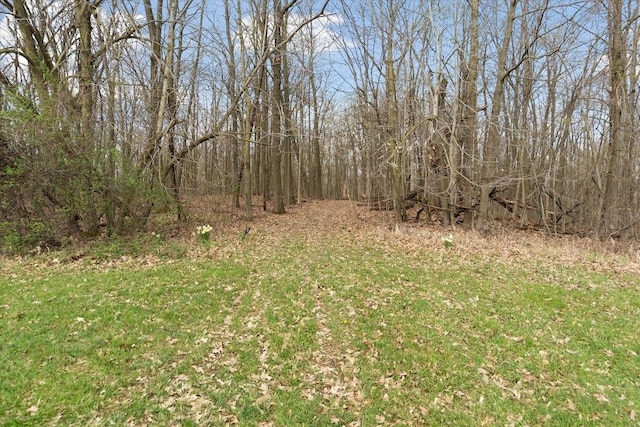 view of nature