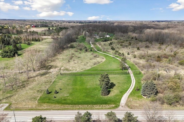 bird's eye view
