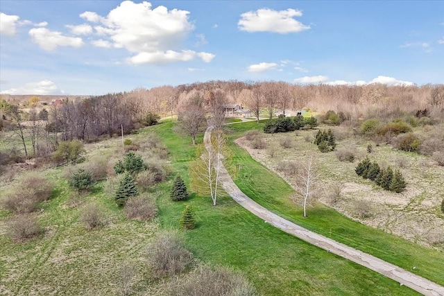 bird's eye view with a view of trees