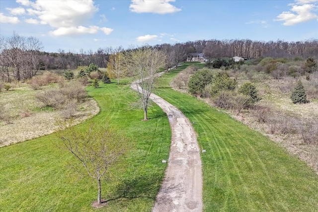 bird's eye view featuring a view of trees