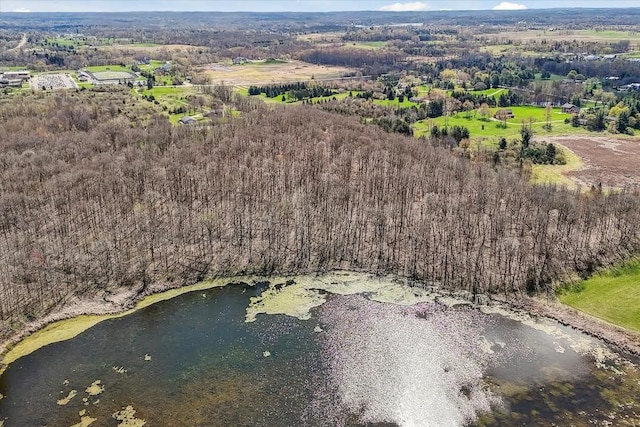 drone / aerial view with a wooded view
