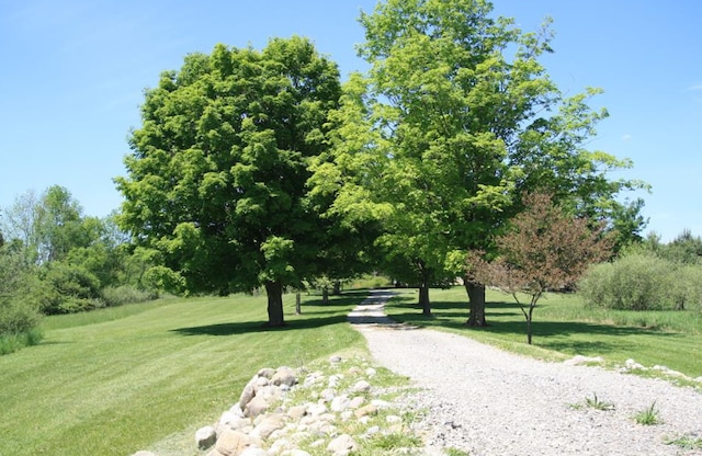 surrounding community featuring a lawn