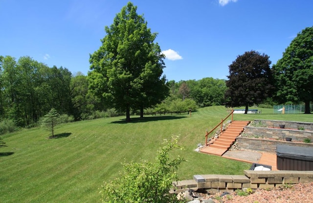 view of home's community with a lawn