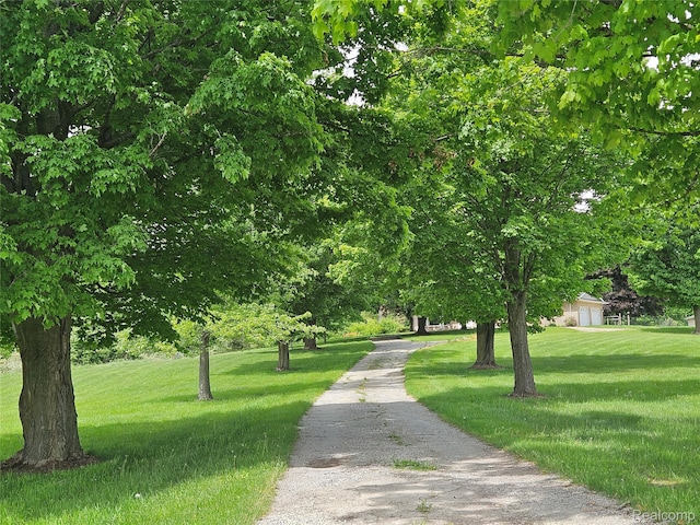 8114 Gale Rd, Goodrich, MI 48438 - view of home's community with a yard
