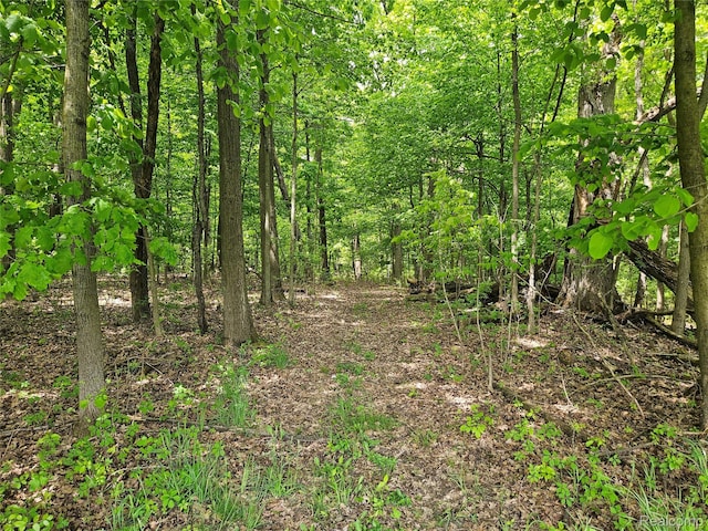 8114 Gale Rd, Goodrich, MI 48438 - view of wooded area