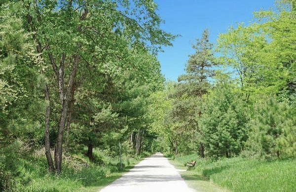 view of street featuring a forest view